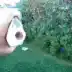 Fish with Open Mouth (Pog)