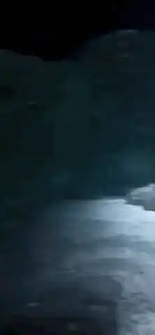 Big Fish Staring Intently Underwater