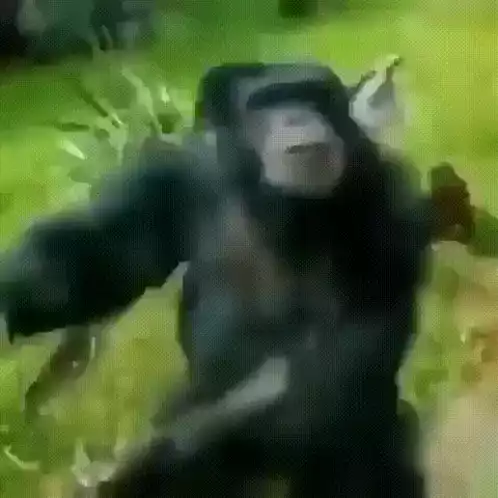 Playful Monkey Dancing and Jumping